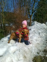 /album/anglicky-kokerspaniel/mia-kika-jpg/